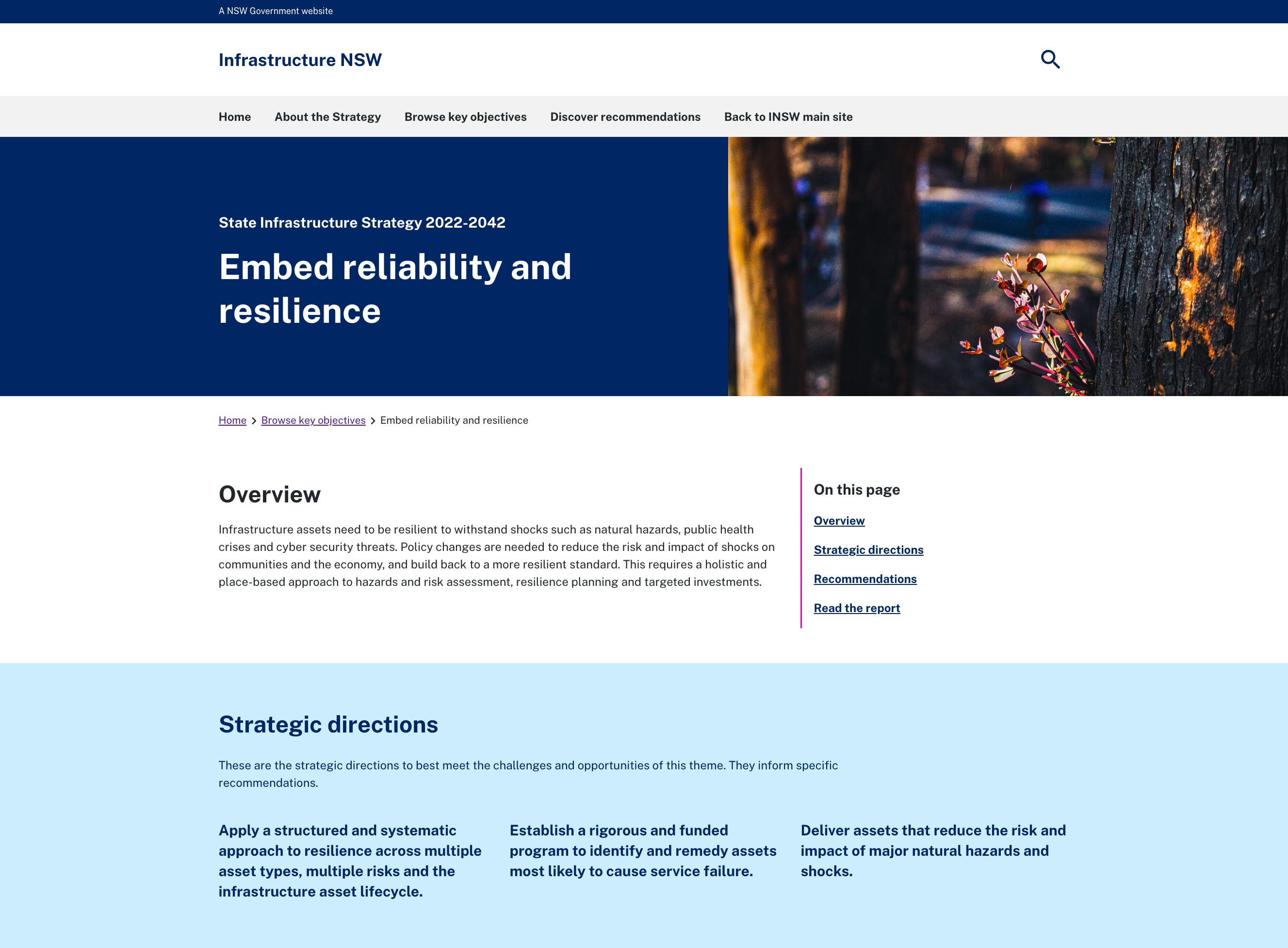 The profile of a key theme from the State Infrastructure Strategy website